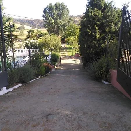 Palmeras
