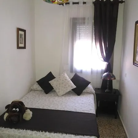 Palmeras *