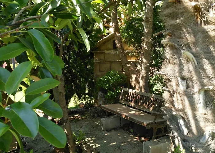 別荘 Palmeras