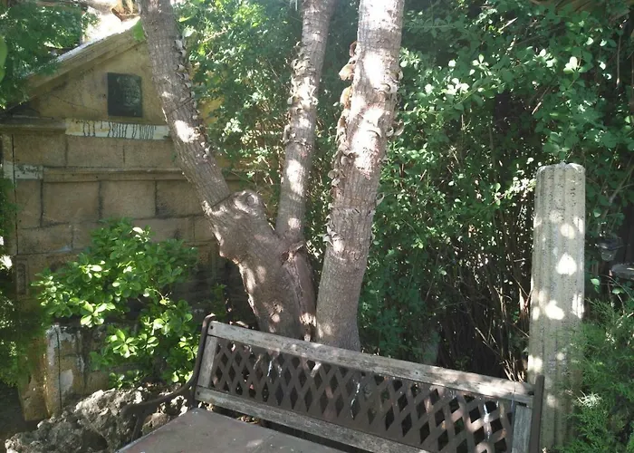 Palmeras